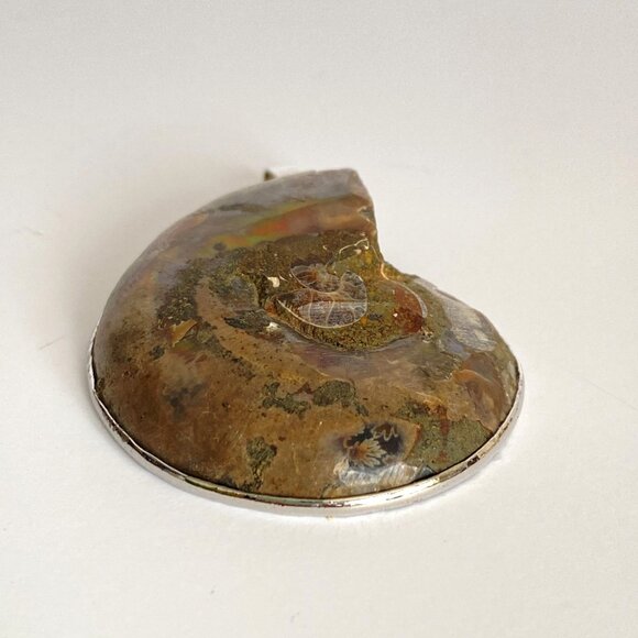 Large Brown Iridescent Ammonite Spiral Fossil Sterling Silver Pendant 2in Long - Picture 6 of 10